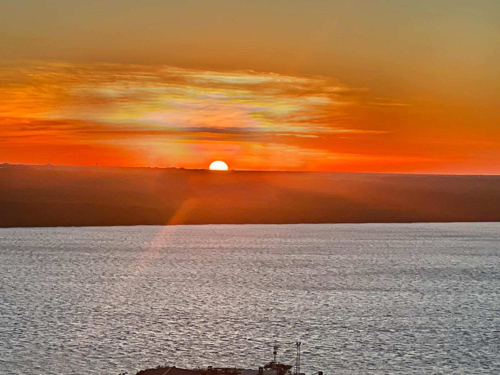 Spectacular Darwin